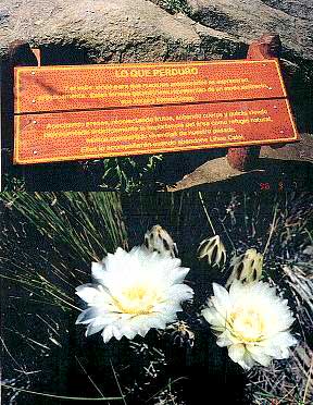 señalización en el Parque Nacional Lihue Calel. 